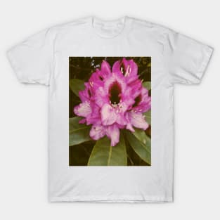 Retro Pink Flower With Green Leaves T-Shirt